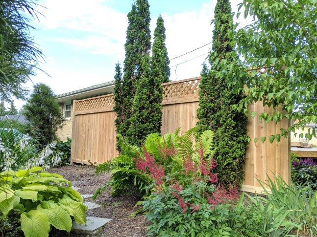 A picture of a wooden fence in a garden.