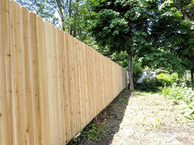 A wooden panel fence with lattice at the top.